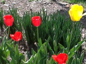 See Beauty in the Seasons