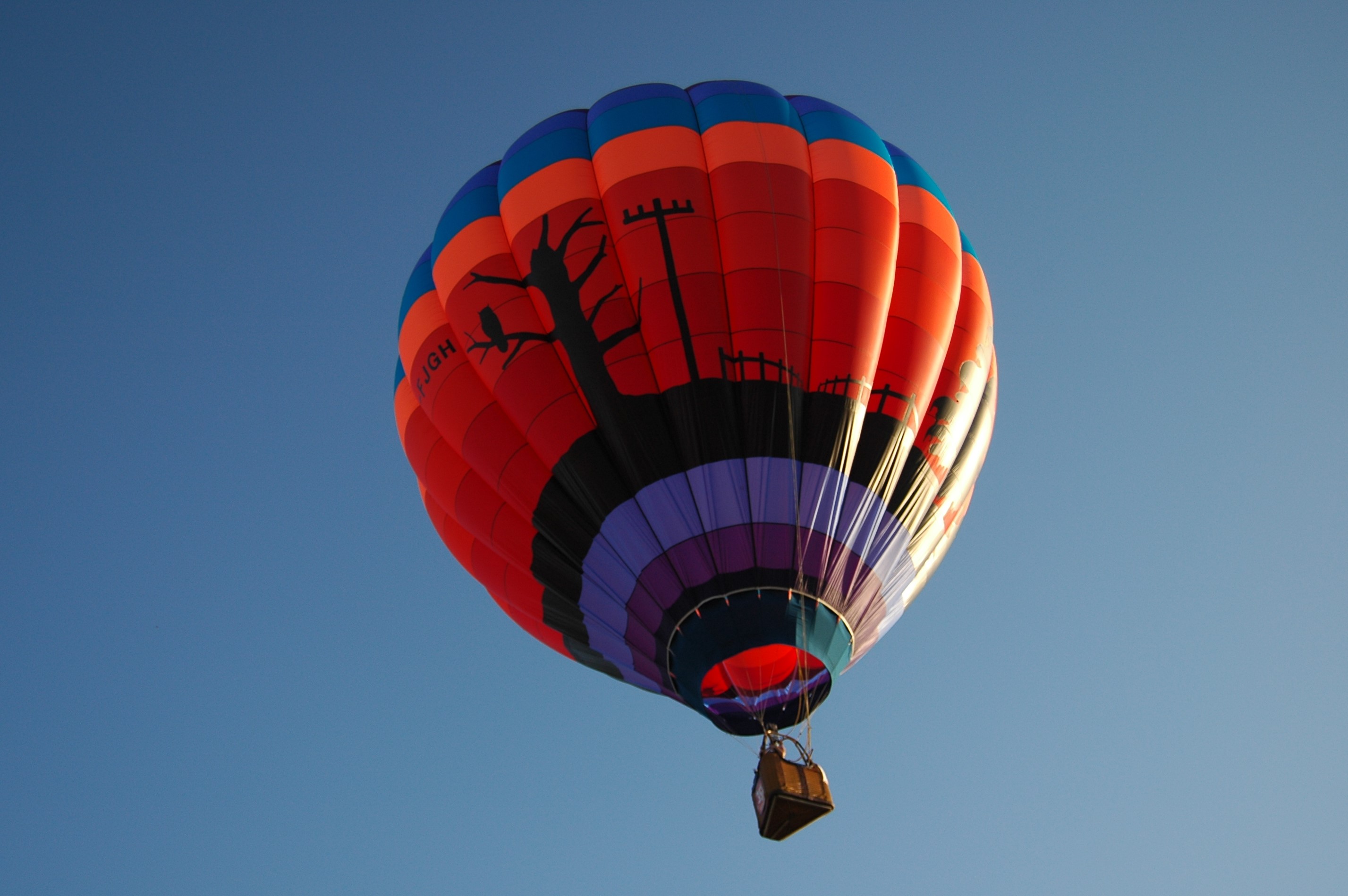 Up, Up, and Away Never Felt Better